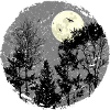 Hallowing Night Forest Scene