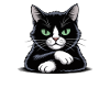 Sarcastic Needy Black Cat