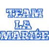 Blue Chinoiserie Bridal Team