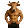 Muscular Bull's Head