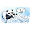 Morgendlicher Panda