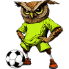 Eule Fussballer