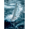 Fearless Voyage in Turbulent Waters