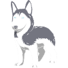 Husky