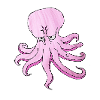 Daniel Rausch Kraken