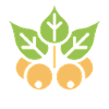 chickpea