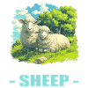 Sheep Sheep