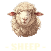 Schafe Schaf