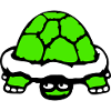 Turtle Hidden Shy Funny Grin