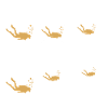 faire de la plongée