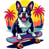 Bouledogue patineur