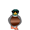 Soyez le canard