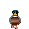 Don't croak