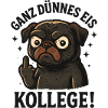 Very thin colleague pug dog