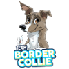 TEAM Border Collie Shorthair - Lilac