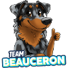 TEAM Beauceron - Harlequin