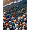 Seaside Star Treasure : Cyber Starfish