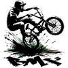 Vélo BMX
