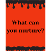 what can you nurture?