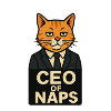 CEO of Naps