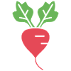 radish