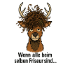 Coiffeur Hirsch Horst