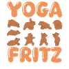 Yoga pour chat Fritz