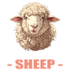 Mouton Mouton