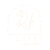 Pilates club studio sunday class
