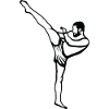 Kickboxeur