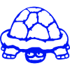 Turtle Hidden Shy Funny Grin