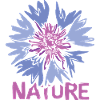Flowers Nature Design – Wildflower Illustration