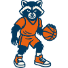 Basket-ball raton laveur