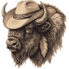 Cowboy Buffalo Bison