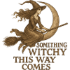 Witchy Moon Flight