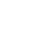 Samuraider