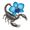 Skorpion mit blauer Orchidee