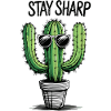 Cactus with sunglasses and message