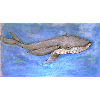 Whale