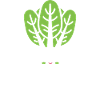 Endive