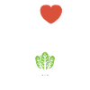 Endive