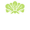 Endive