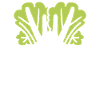 Endive