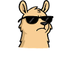 Llama - MIMIMI