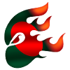 Bangladesh Flag - Bangladesh - Ninja