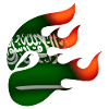 Saudi Arabia Flag - Saudi Arabia - Ninja