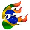 Drapeau du Brésil - Brésil - Ninja