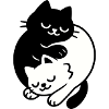 Chats Ying-Yang #2