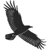 Graceful Bird Silhouette Design
