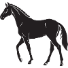 Elegant Black Horse Silhouette Design